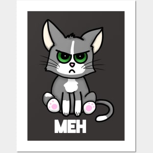 Meh Cat Posters and Art